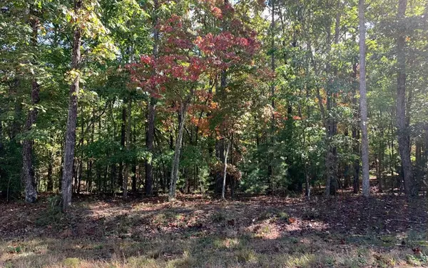 Blairsville, GA 30512,Lot 6 Timber Ridge