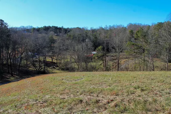 Murphy, NC 28906,Lot 32 Holly Berry Estates