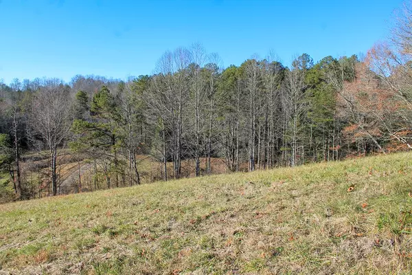 Murphy, NC 28906,Lot 32 Holly Berry Estates