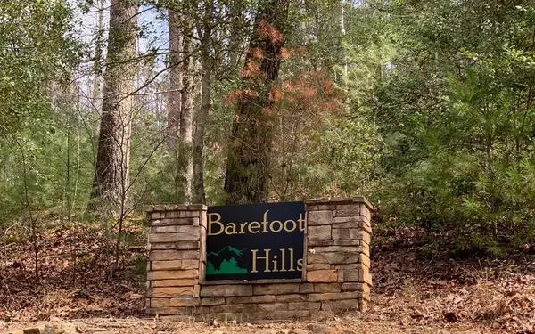 Hiawassee, GA 30546,302 Barefoot Hills Road