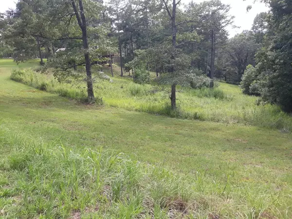 Murphy, NC 28906,Lot 2 Old Evans Rd