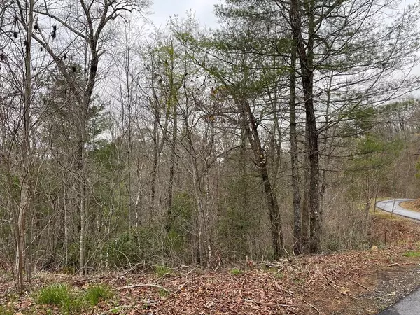 Lot 5 Trillium Heights, Hayesville, NC 28904