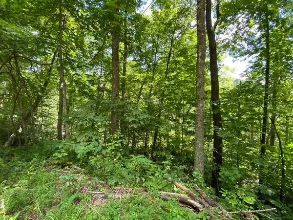 Robbinsville, NC 28771,Lot 16 Snowbird Woods Rd