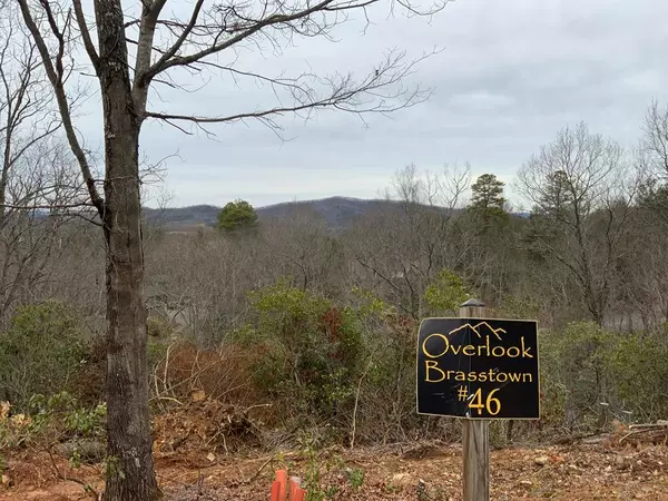 Lot 46 Fiddlers Way, Brasstown, NC 28902