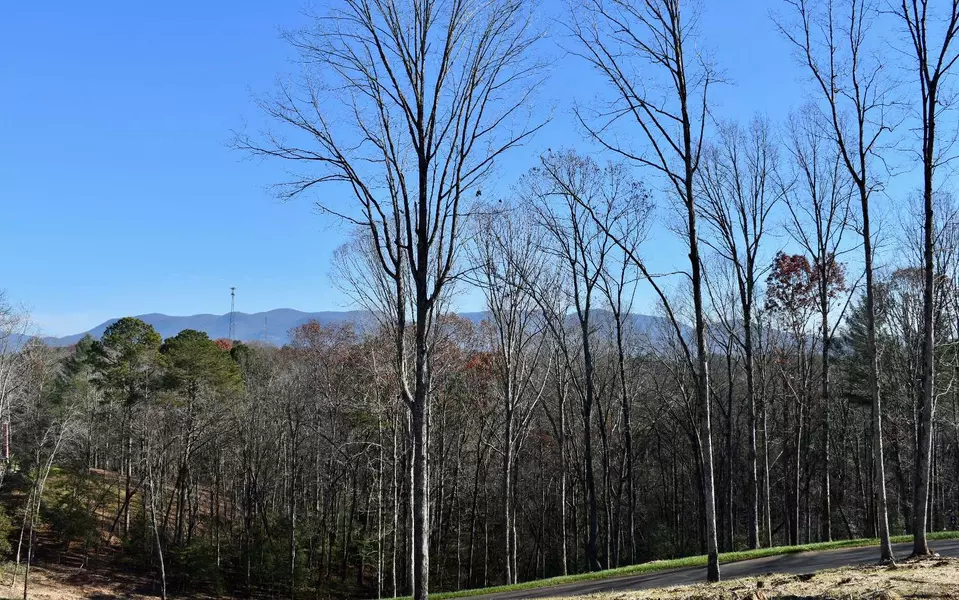 LT 14 Mystic Drive, Ellijay, GA 30540