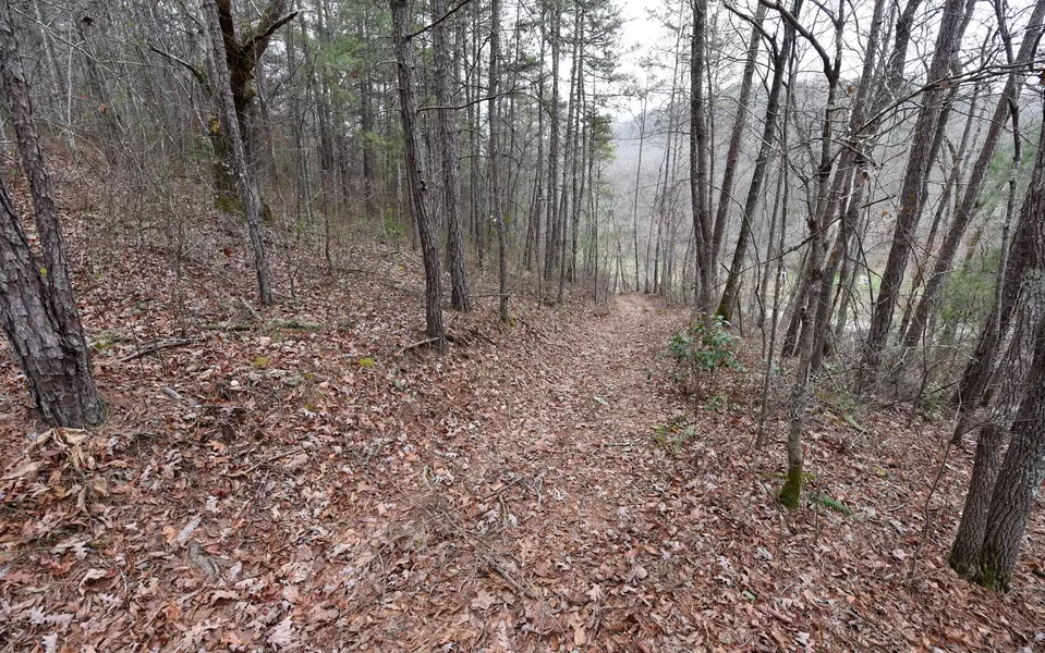 Hawksclaw Rd 8.91 Ac, Morganton, GA 30560