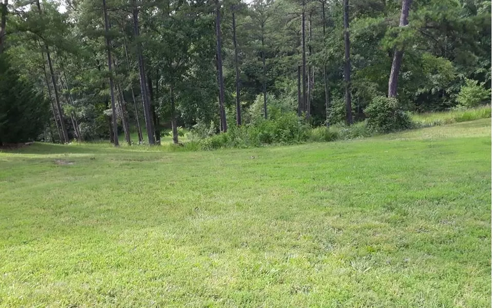 LOT 2 Old Evans Road, Murphy, NC 28906