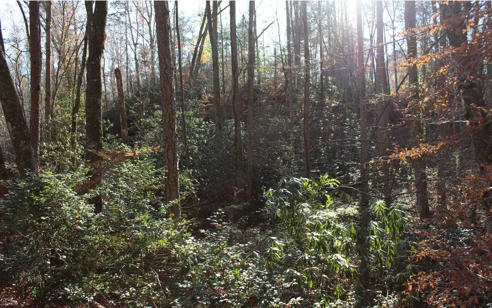 LOT A Tanglewood Road, Murphy, NC 28906