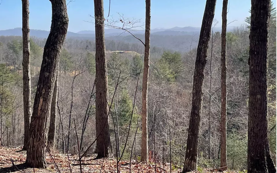 LOT 4 White Oak Circle, Blue Ridge, GA 30513