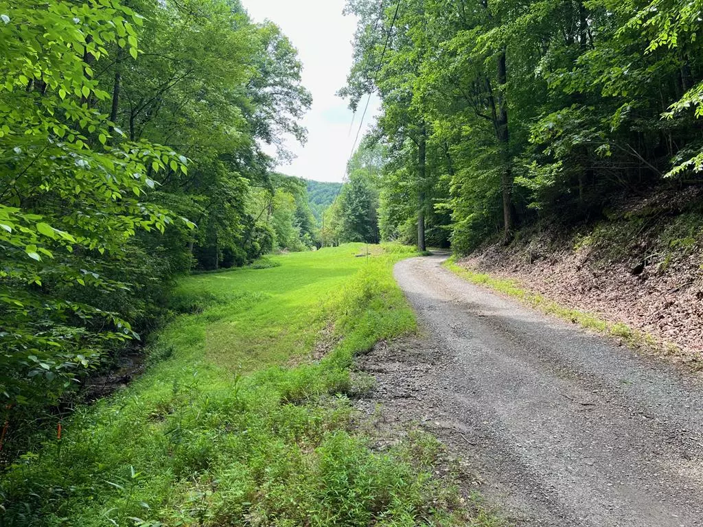 Brasstown, NC 28902,33.4 ac Caldwell Road