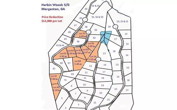 Morganton, GA 30560,LT 14 Harbin Court