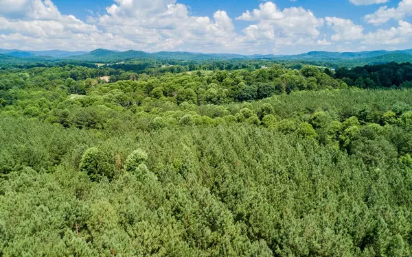 LT23 Foxpaw Leaf Lane, Ellijay, GA 30536