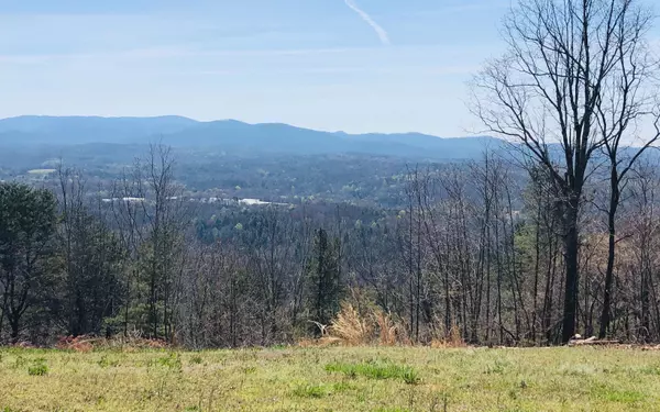 T13 Talona Mountain Road, Ellijay, GA 30540