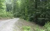 Brasstown, NC 28902,Windy Knoll