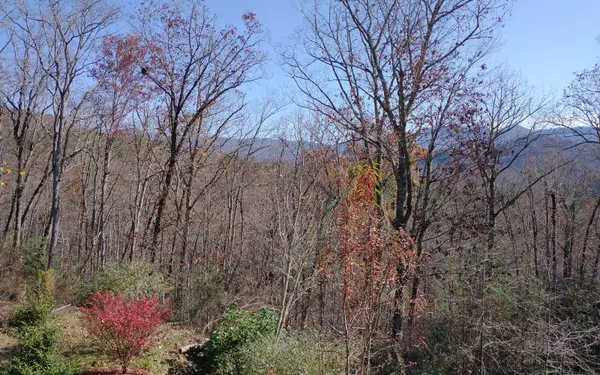 Hayesville, NC 28904,1Q Tusquittee Overlook