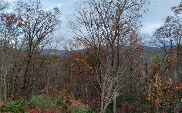 Hayesville, NC 28904,1Q Tusquittee Overlook