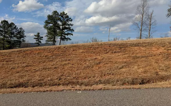 Blairsville, GA 30512,LOT13 Riverside Lk Nottely