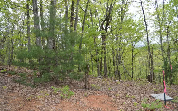 Brasstown, NC 28902,LOT 18 North Ridge Trail