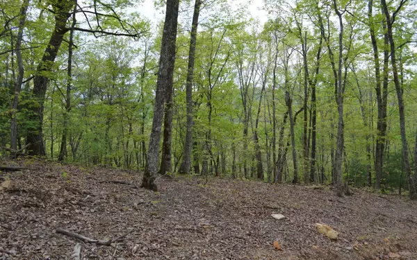 Brasstown, NC 28902,LOT 18 North Ridge Trail