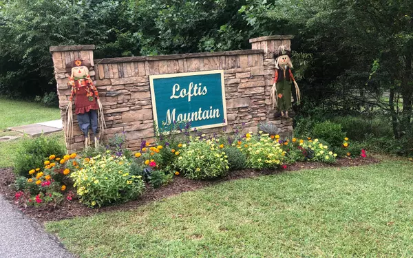 Blairsville, GA 30512,LOT 1 Loftis Mtn