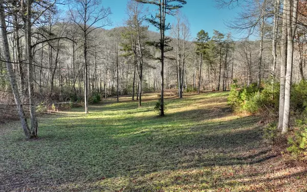 37 AC Black Ankle Creek Road, Cherry Log, GA 30522