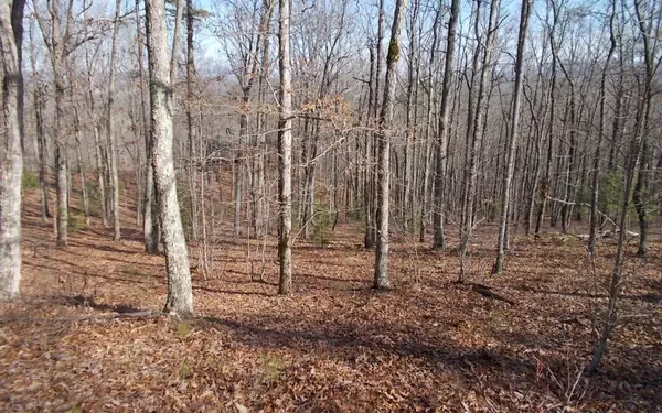 Blairsville, GA 30512,LOT 9 Campground Road