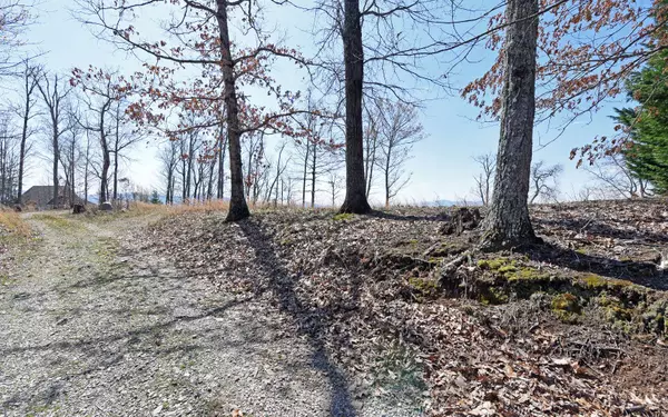 Hayesville, NC 28904,LOT15 Bell Lake View