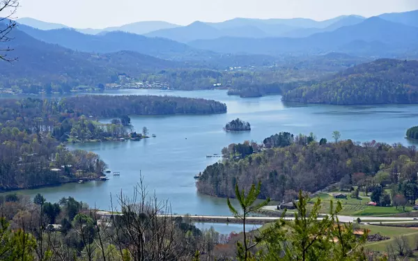 Hayesville, NC 28904,LOT15 Bell Lake View