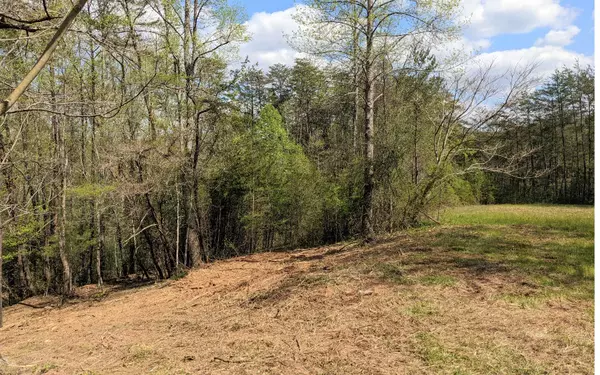 Blairsville, GA 30512,LOT 2 Huntington Ridge Road