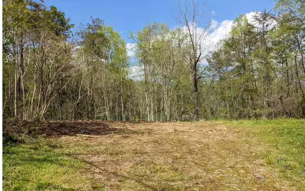 Blairsville, GA 30512,LOT 2 Huntington Ridge Road