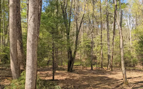 Blairsville, GA 30512,LOT 2 Huntington Ridge Road