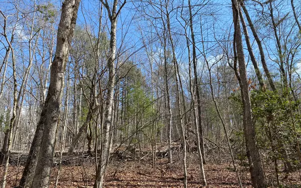 Blue Ridge, GA 30513,LOT3 Cohutta Overlook Iii