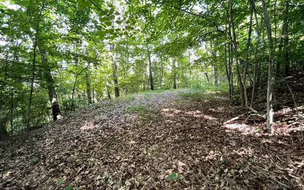 Young Harris, GA 30582,LOT83 Asheland Overlook