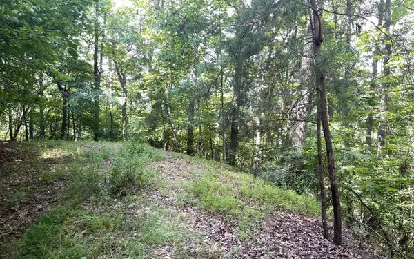 Young Harris, GA 30582,LOT83 Asheland Overlook