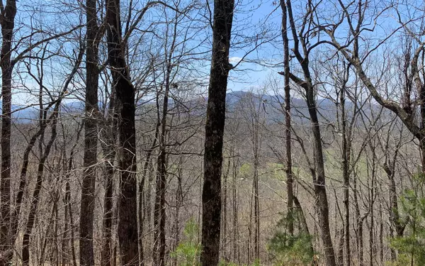 Warne, NC 28909,LOT 7 Deer Valley