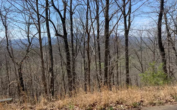 Warne, NC 28909,LOT 7 Deer Valley