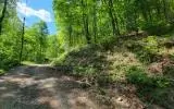 L 336 Brushy Top Drive, Ellijay, GA 30540