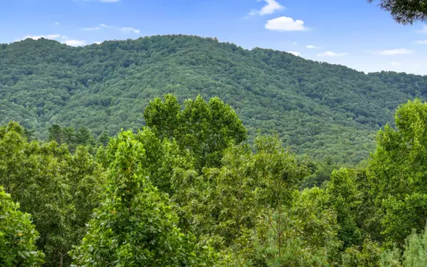 Cherry Log, GA 30522,272 Laurel Mountain Road