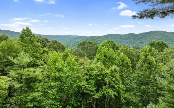 Cherry Log, GA 30522,272 Laurel Mountain Road