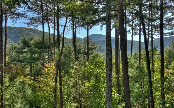 Cherry Log, GA 30522,928 Stanley Creek Road