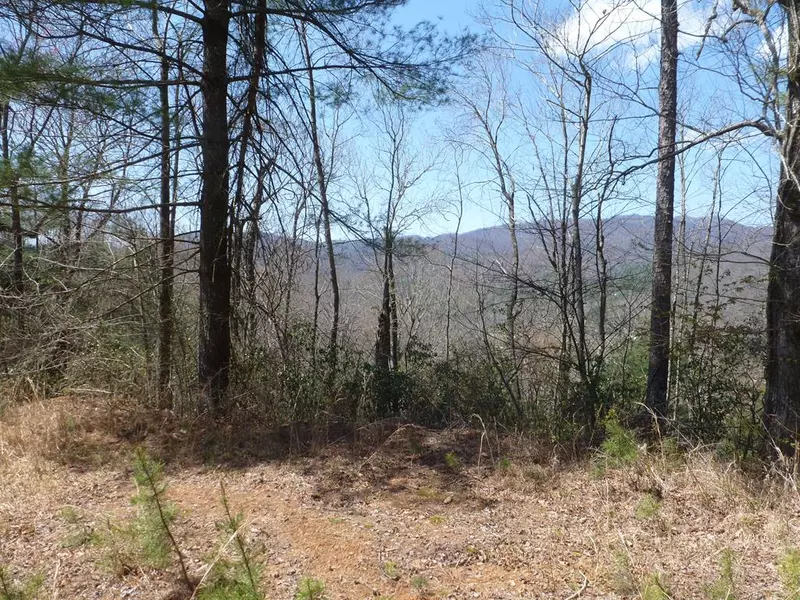 Lot 80-4 Loop Lane, Marble, NC 28905