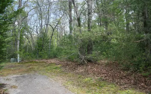 Hayesville, NC 28904,Lot J River Bluff Road