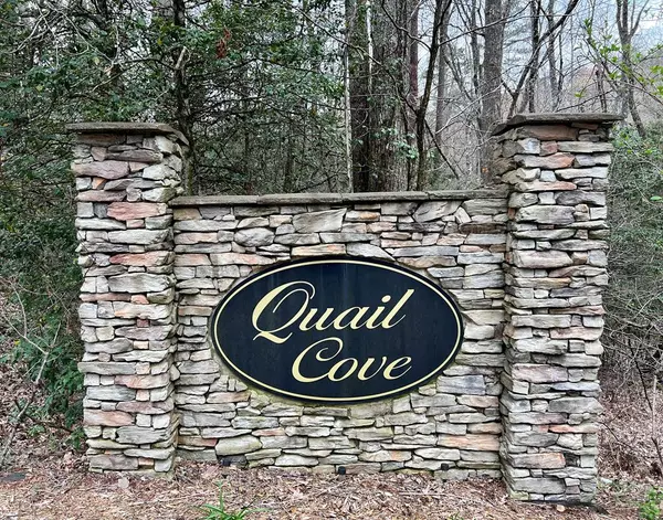 Warne, NC 28909,896 QUAIL COVE CIR