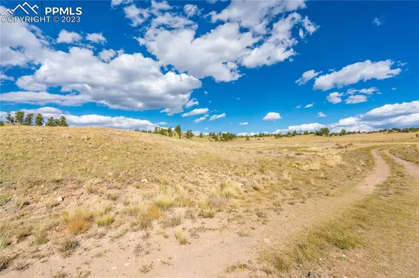 Hartsel, CO 80449,Dog Chief TRL