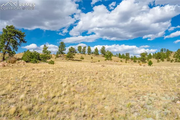 Hartsel, CO 80449,Dog Chief TRL