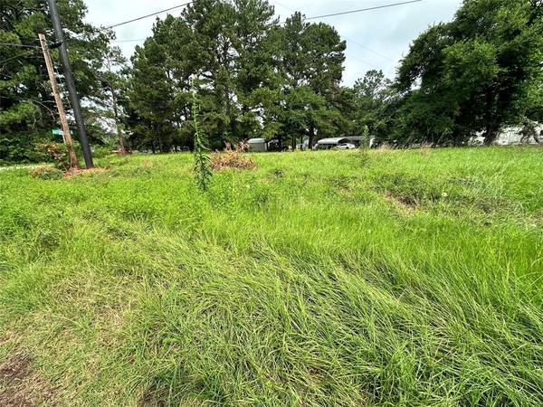 Lot 29 Ashley Avenue, Streetman, TX 75859