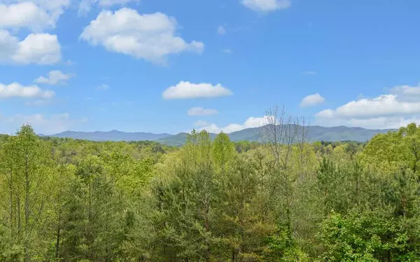 Brasstown, NC 28902,530 Brasstown Acres