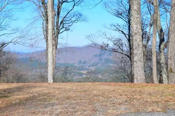 Murphy, NC 28906,740 Wilderness Creek Way