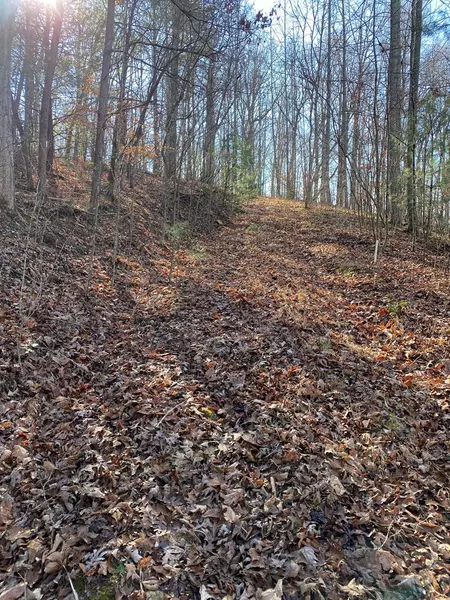 lot 15 Acres Townhouse Cir, Blairsville, GA 30512