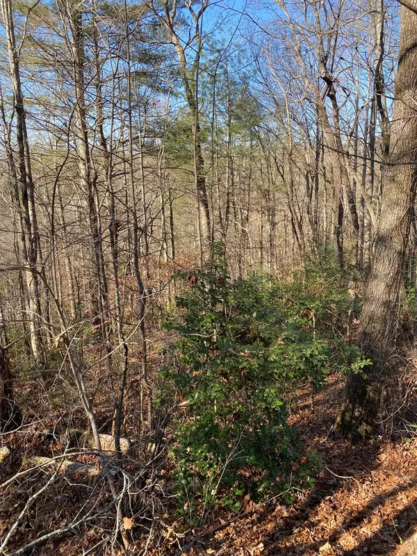 Blairsville, GA 30512,lot 13 Acres Townhouse Cir